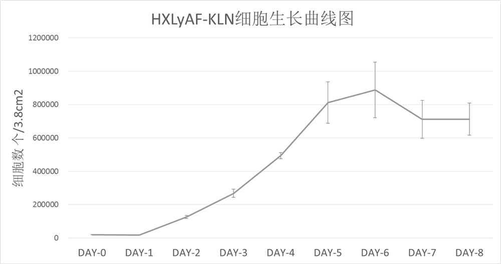 Lymph node-derived lymphoma-related fibroblast tumor cell strain and application thereof