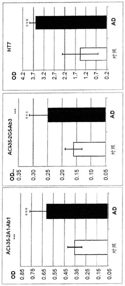 Phospho-specific antibody that recognizes tau