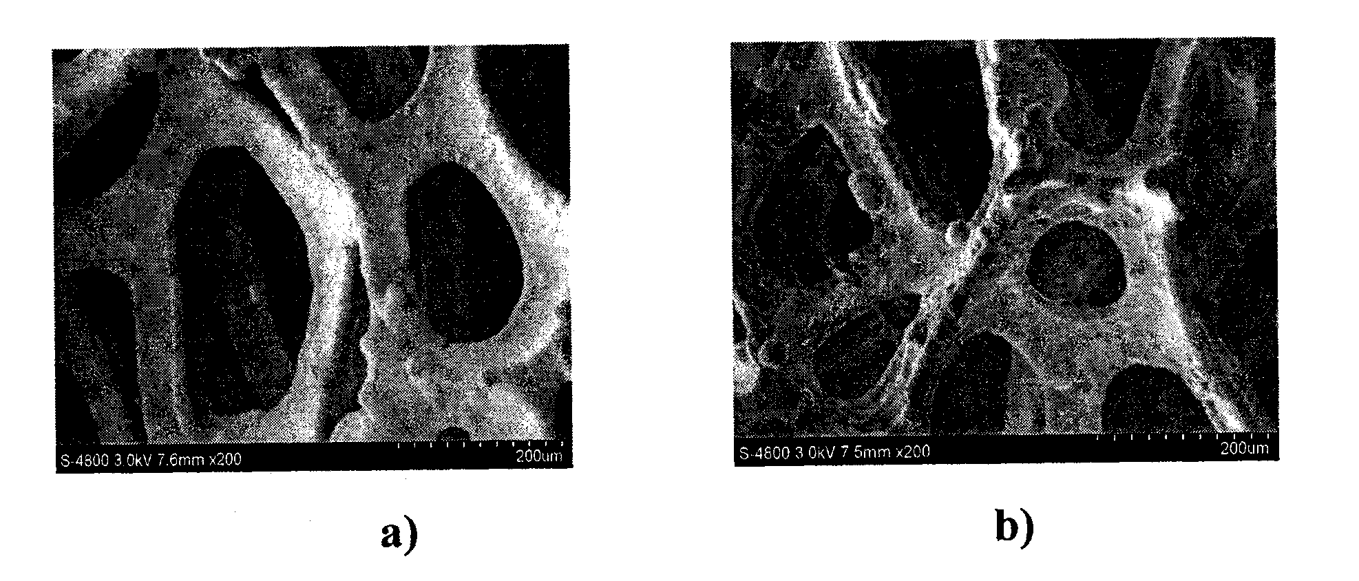 Magnesium electrode for magnesium battery and preparation method thereof