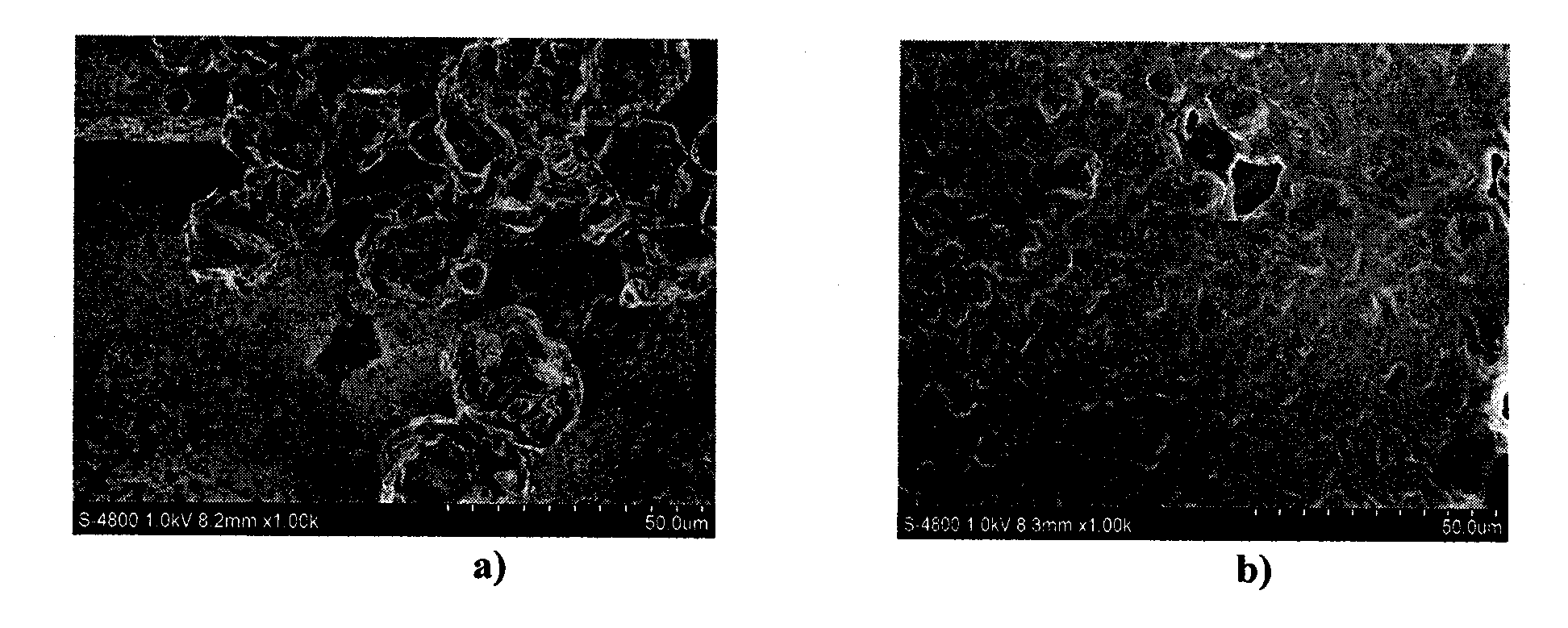 Magnesium electrode for magnesium battery and preparation method thereof