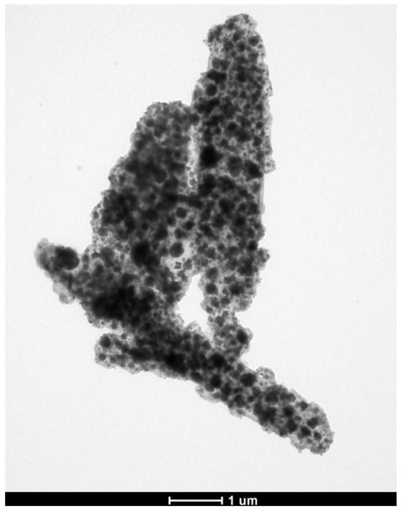 Sulfur-nitrogen co-doped porous carbon supported ternary transition metal composite material and preparation method thereof