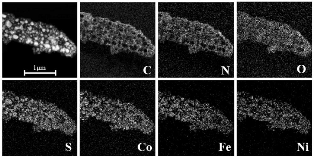 Sulfur-nitrogen co-doped porous carbon supported ternary transition metal composite material and preparation method thereof