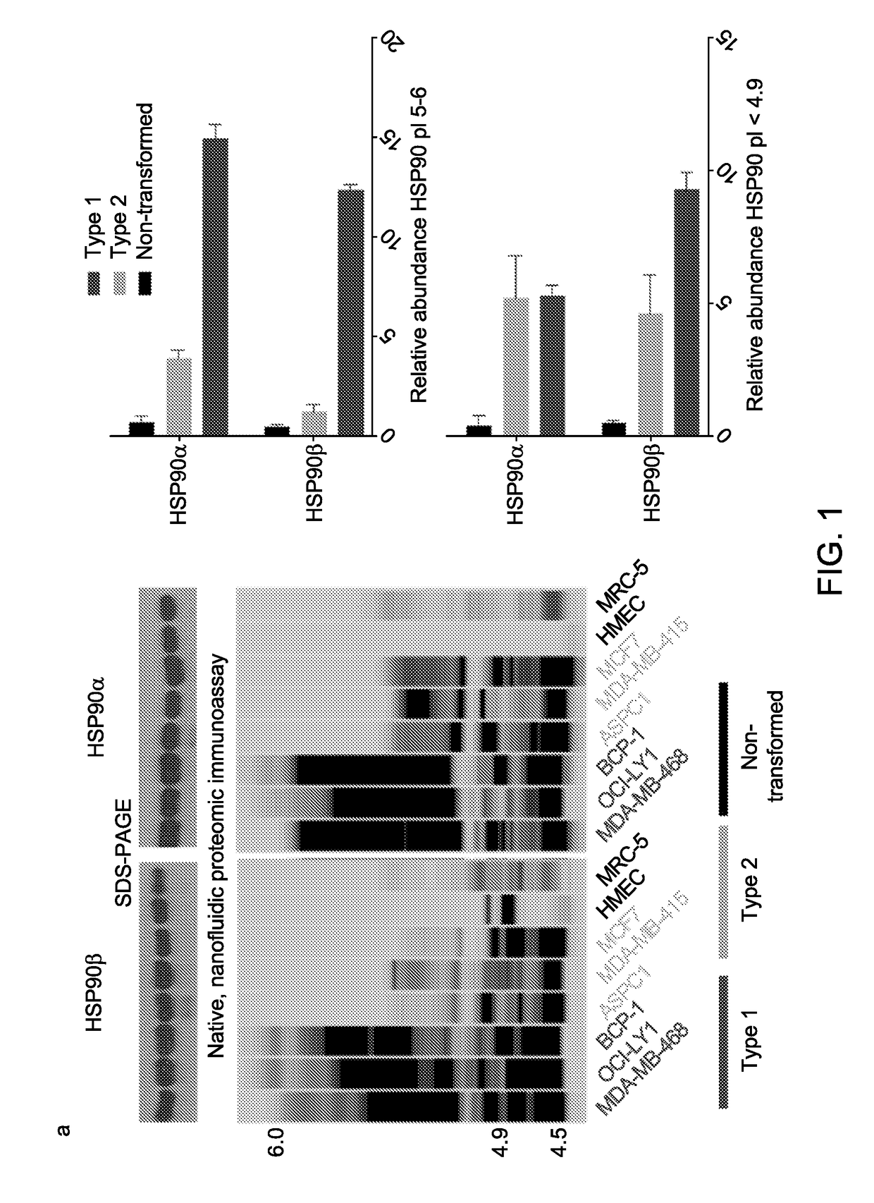 Rational combination therapy for the treatment of cancer