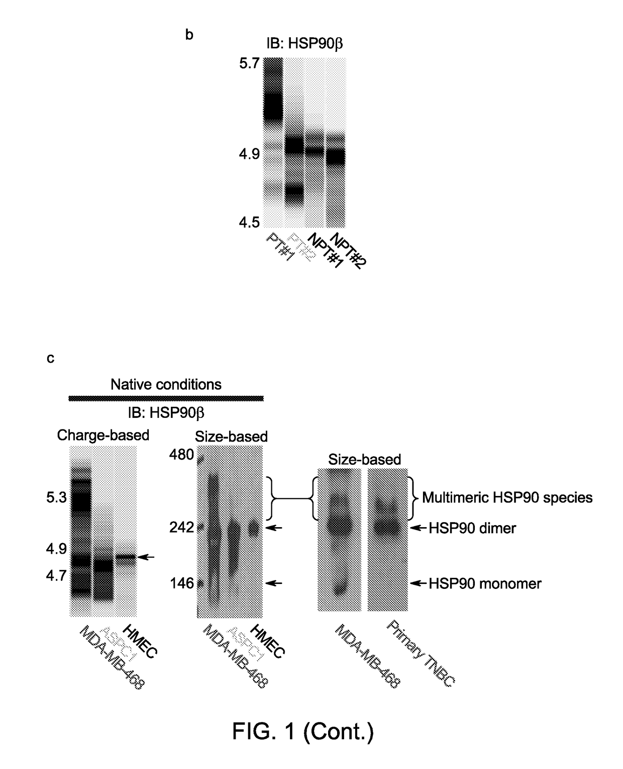 Rational combination therapy for the treatment of cancer