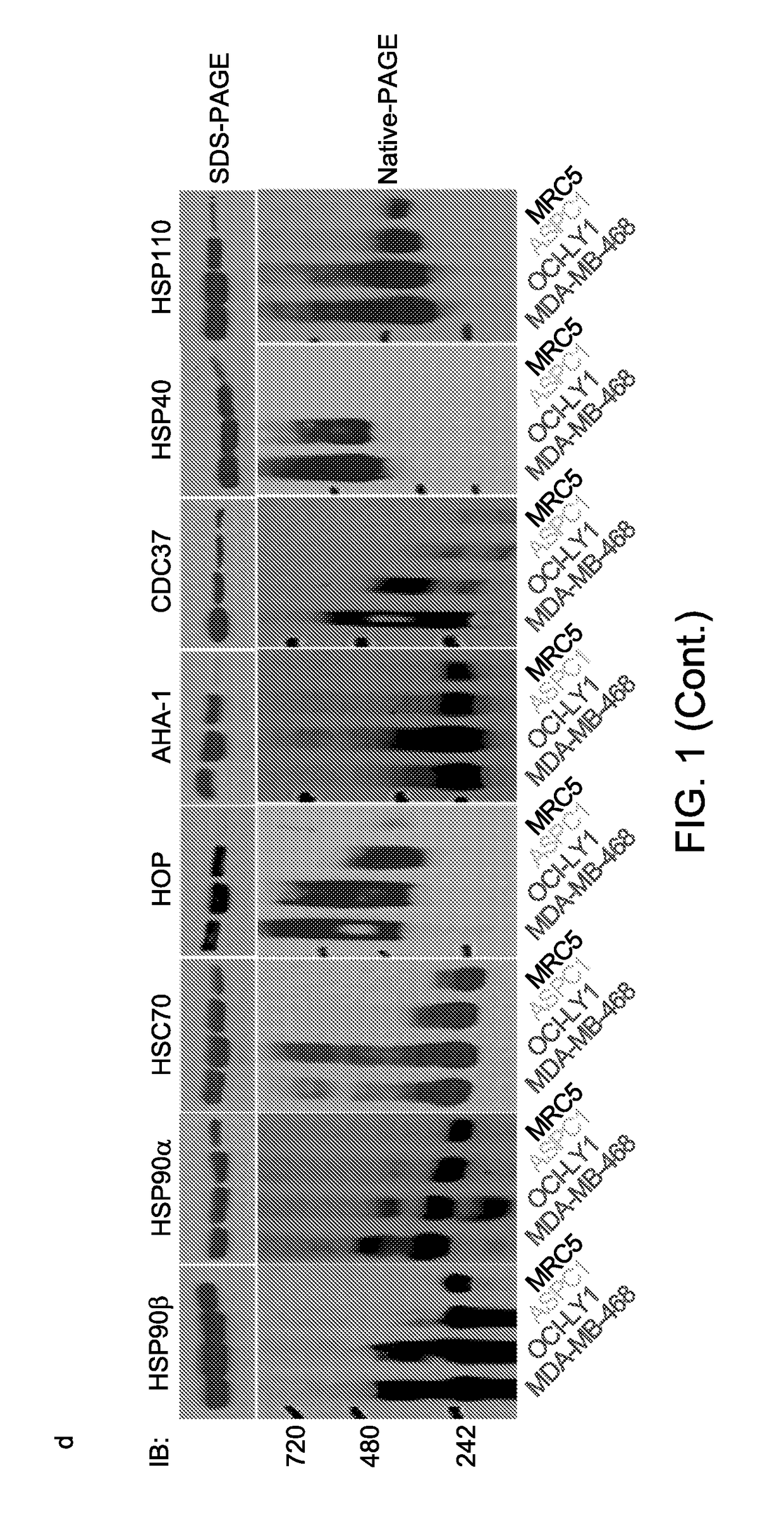 Rational combination therapy for the treatment of cancer