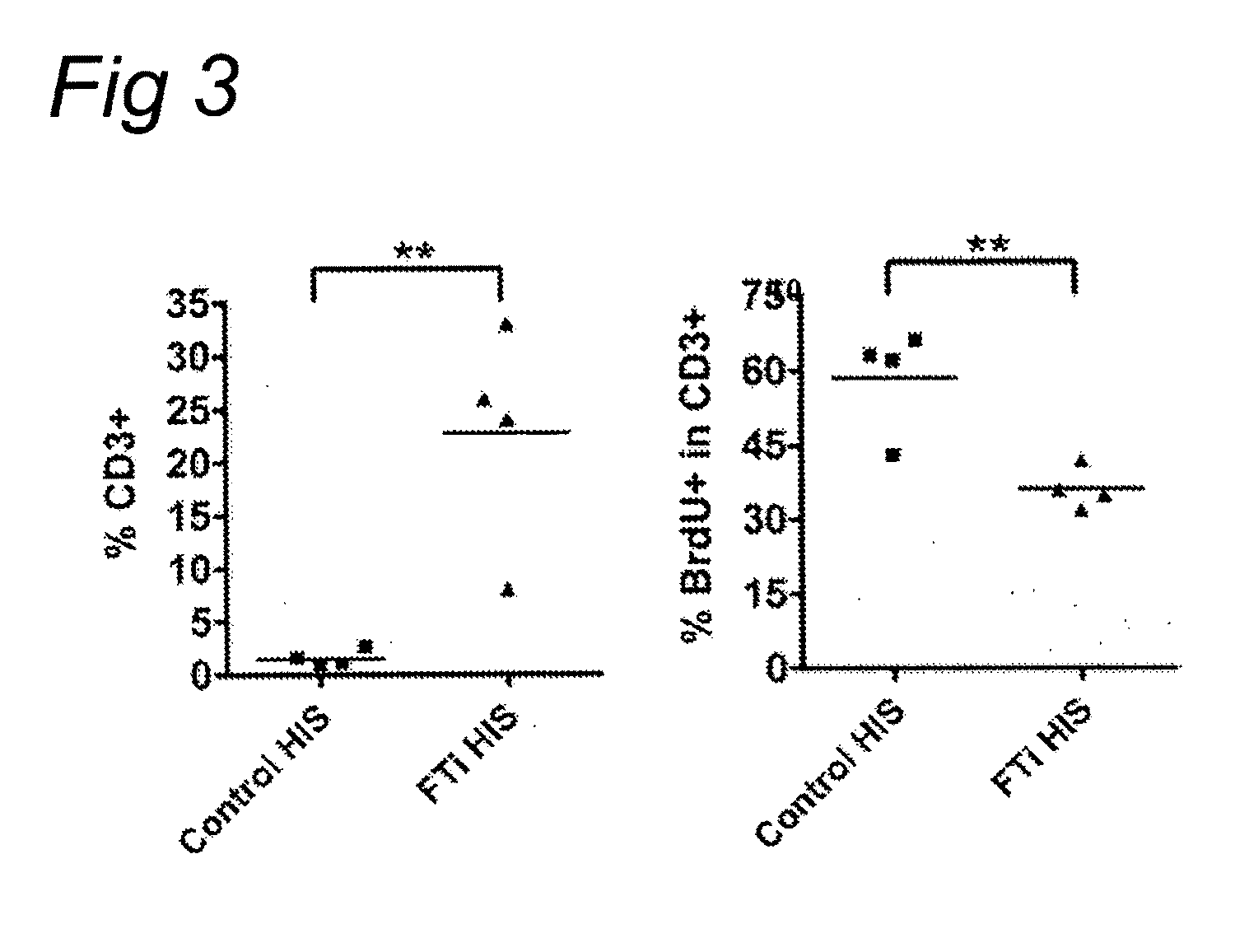 Xenogenic immune system in a non-human mammal