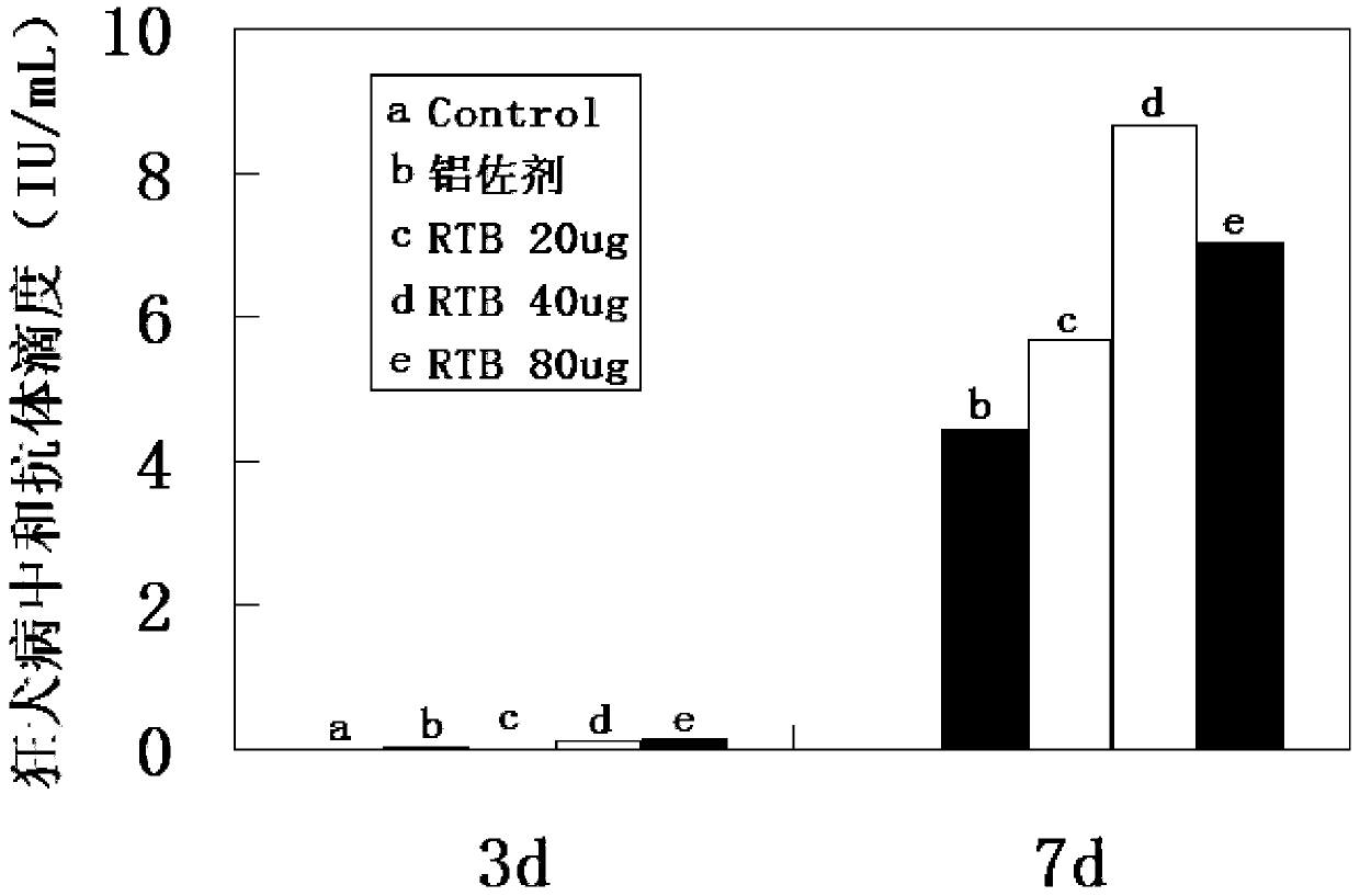 Recombinant ricin B-chain truncated protein and its expression method and application