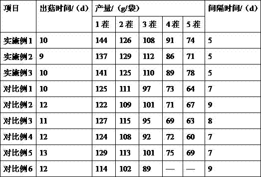 Cultivation method for improving fruiting amount of hericium erinaceus