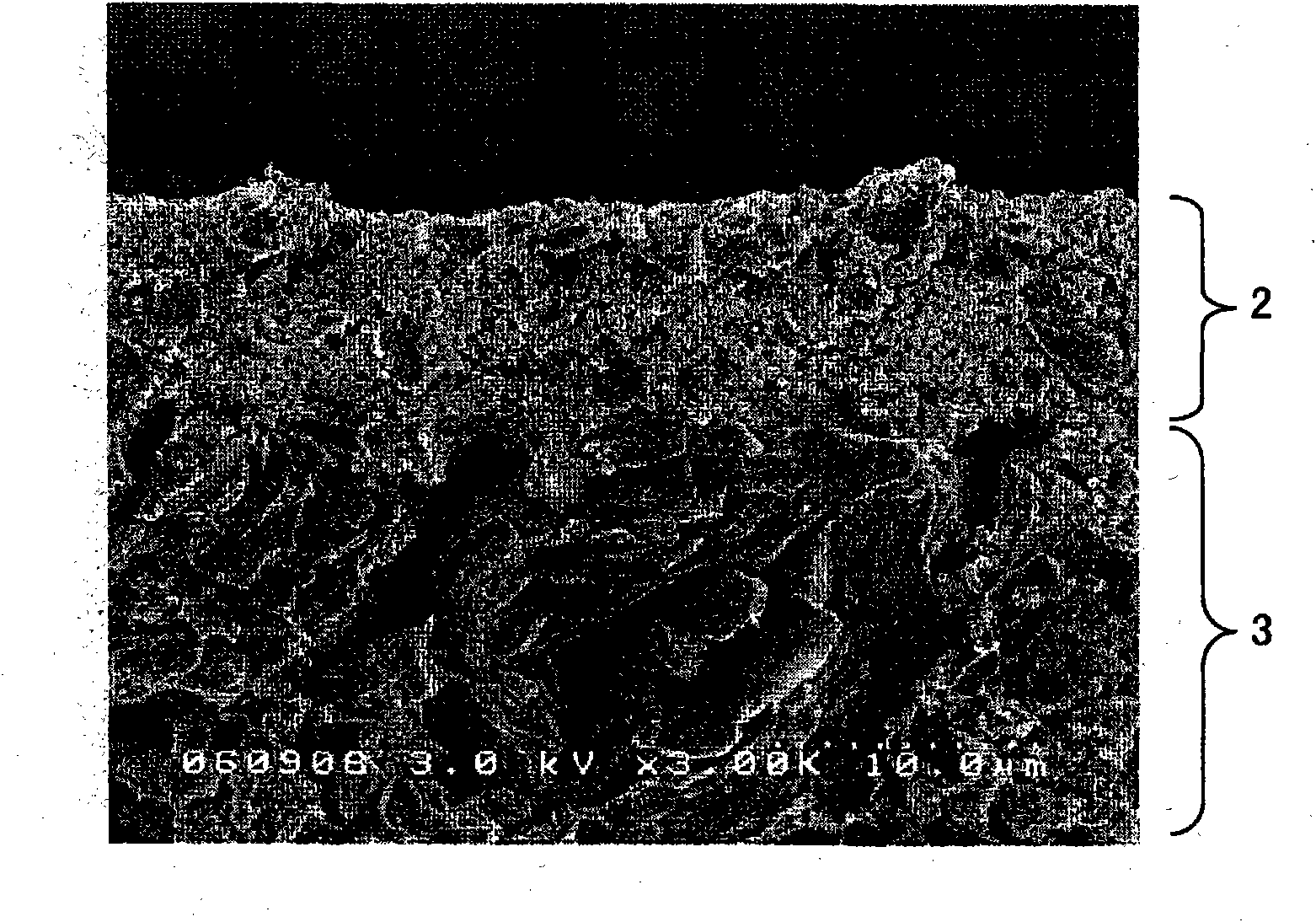 Electrode for nonaqueous secondary battery, nonaqueous secondary battery using the same, and method for producing electrode