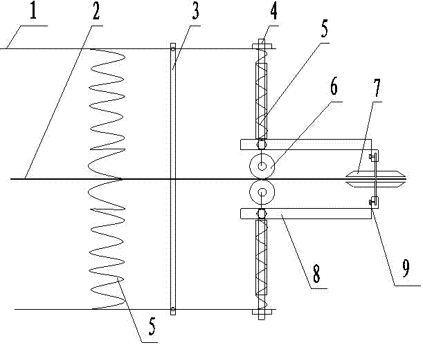 Rolling wheel type variable-diameter branch human-assisted blueberry picking device