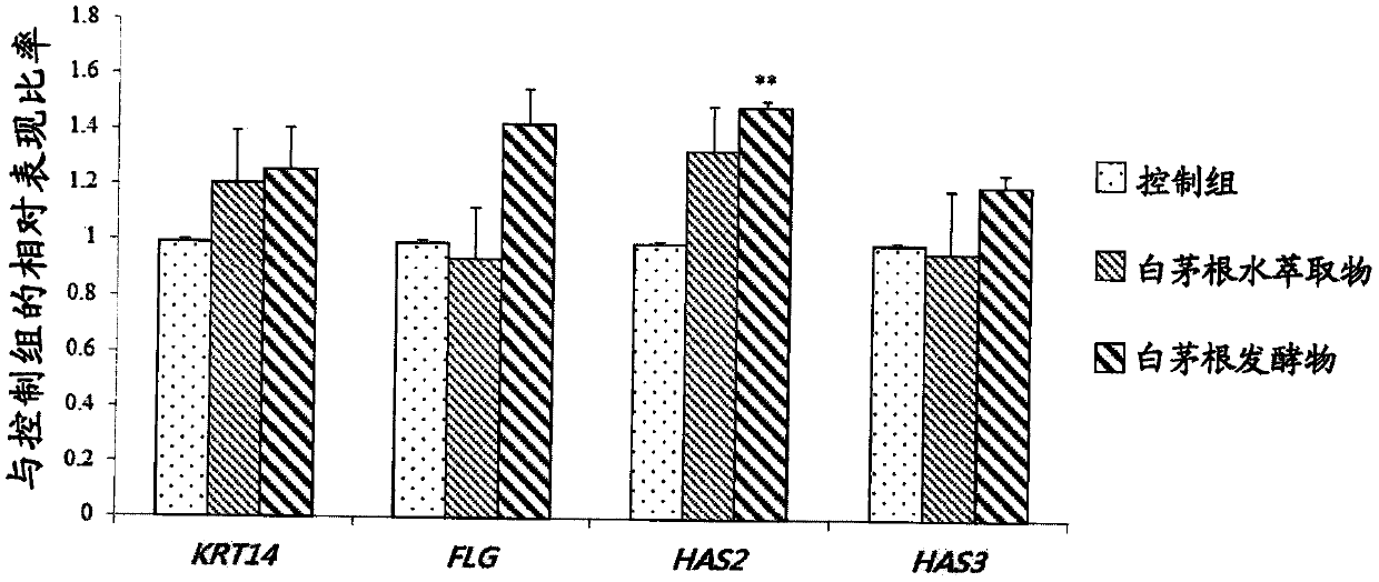 Use of imperata cylindrica fermented extract for enhancing the gene expression of keratin, filaggrin and hyaluronan synthase, promoting the proliferation of collagen and elastin, and enhancing antioxidant capacity of skin cells