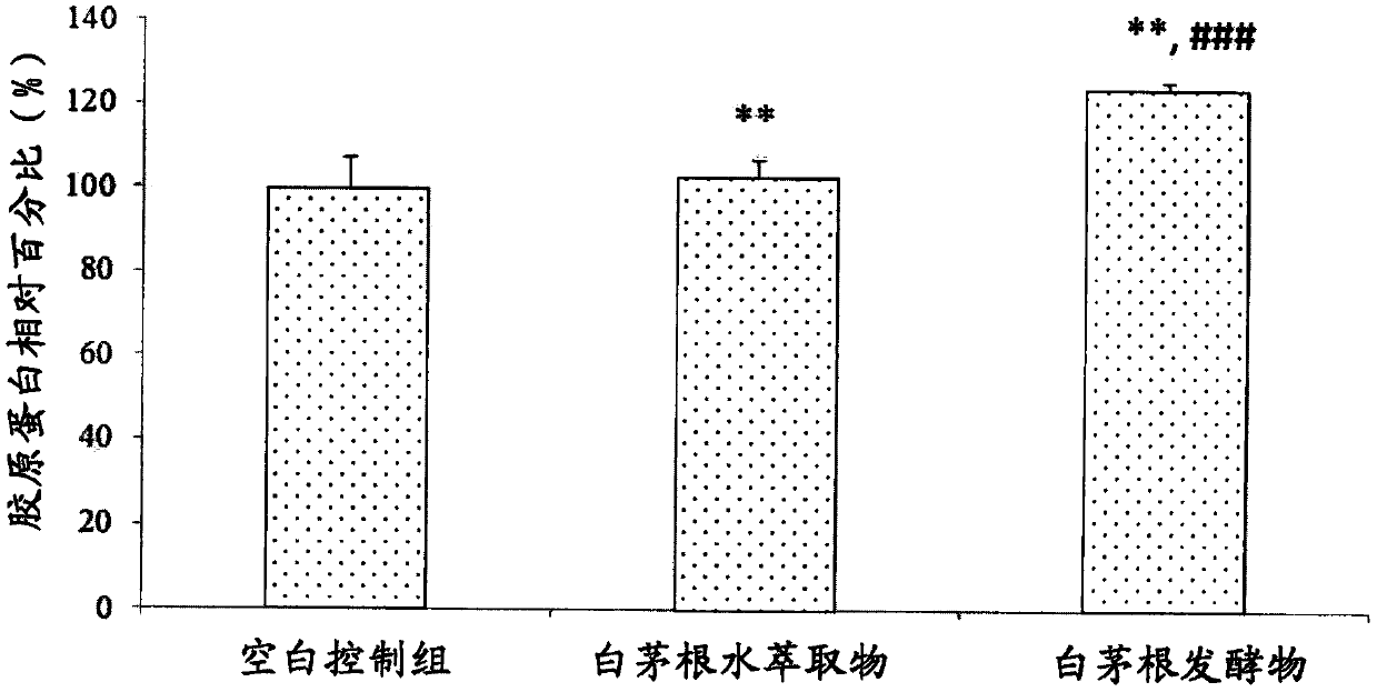 Use of imperata cylindrica fermented extract for enhancing the gene expression of keratin, filaggrin and hyaluronan synthase, promoting the proliferation of collagen and elastin, and enhancing antioxidant capacity of skin cells