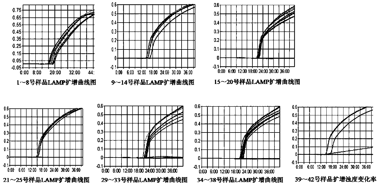 A method for rapid detection of Pseudomonas aeruginosa in textiles