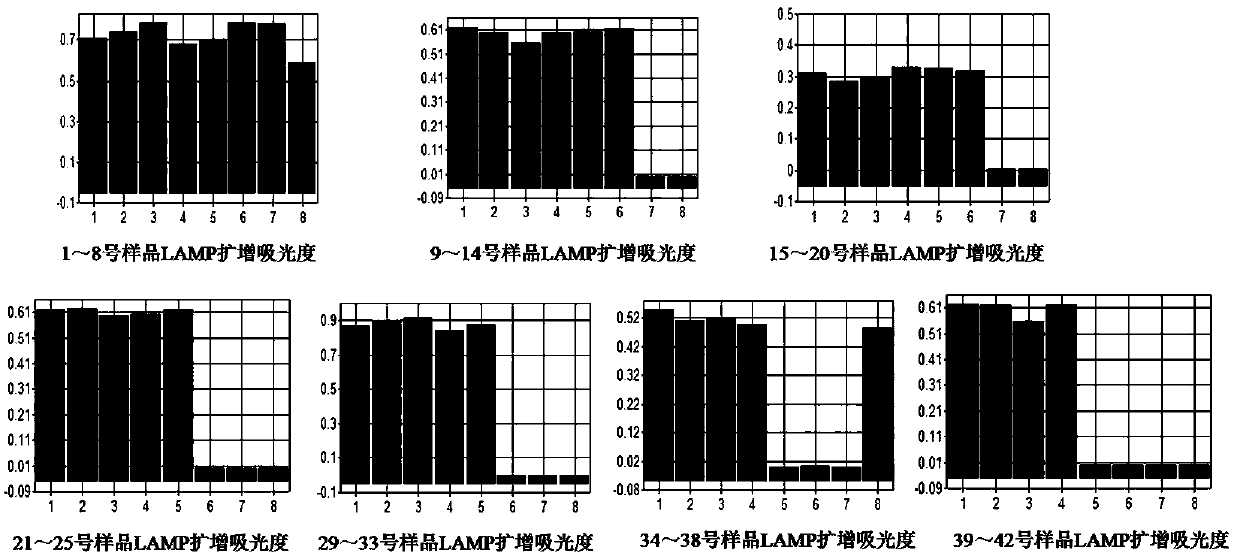 A method for rapid detection of Pseudomonas aeruginosa in textiles