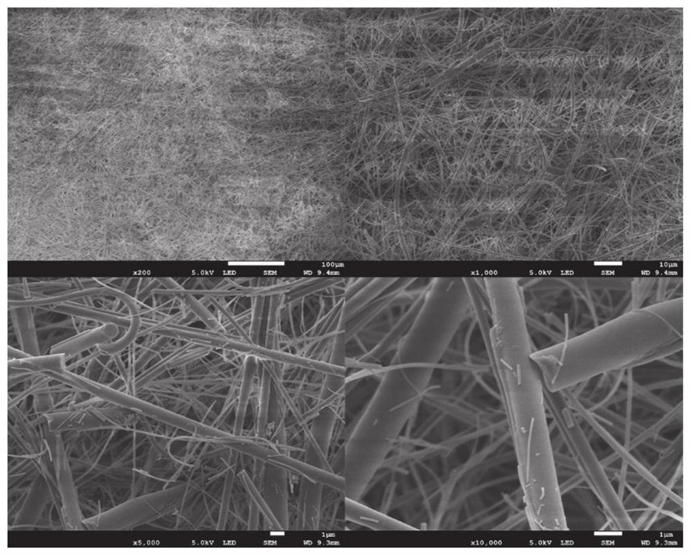 Aqueous zinc metal battery MXene-based diaphragm as well as preparation method and application thereof