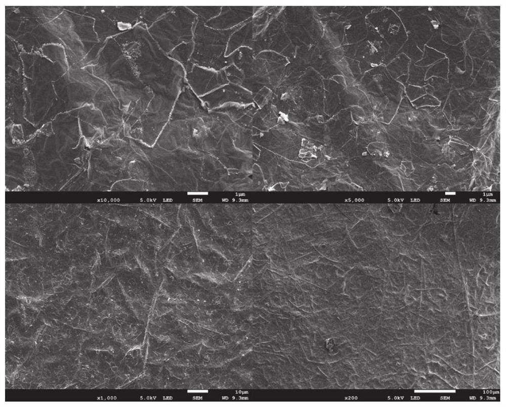 Aqueous zinc metal battery MXene-based diaphragm as well as preparation method and application thereof