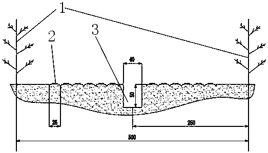 Ecological planting method for interplanting herba capsellae in peach orchard