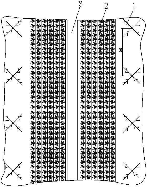 Ecological planting method for interplanting herba capsellae in peach orchard