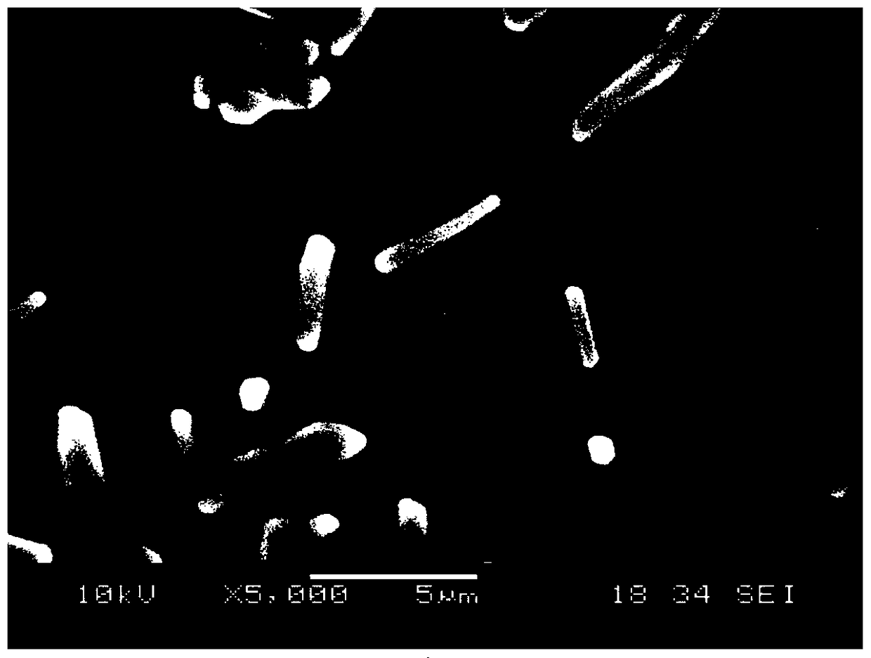 A strain of bacillus subtilis dcu and its use