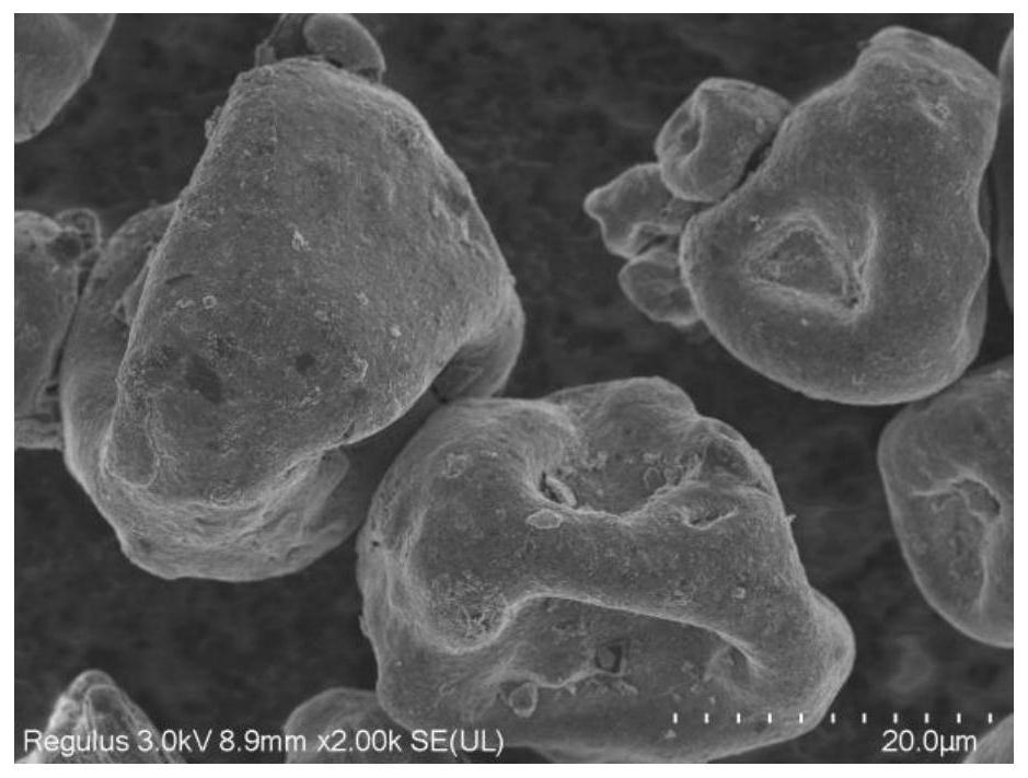 MoO2/amorphous carbon coated silicon-carbon composite material as well as preparation method and application thereof