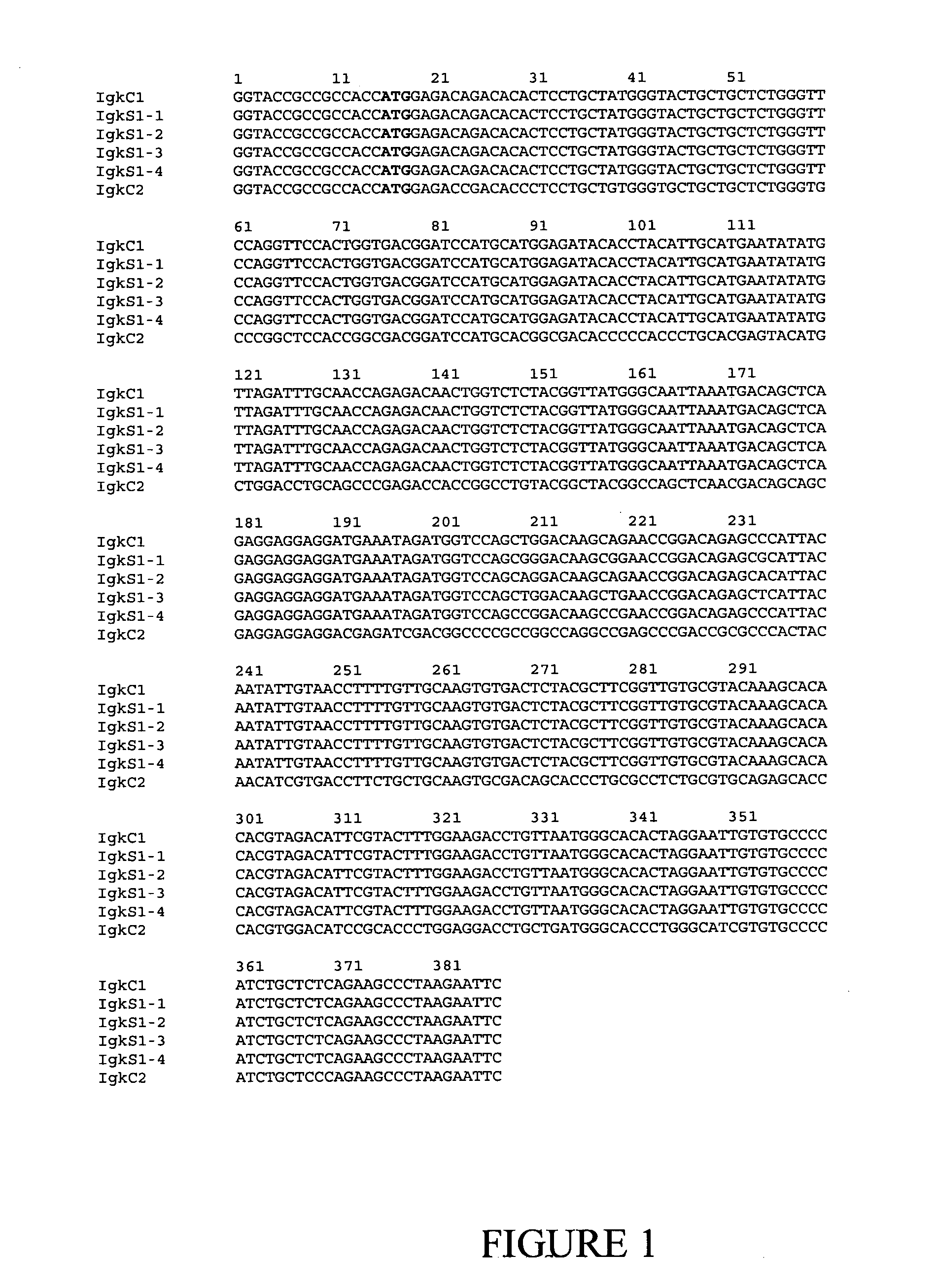 Expression system for modulating an immune response