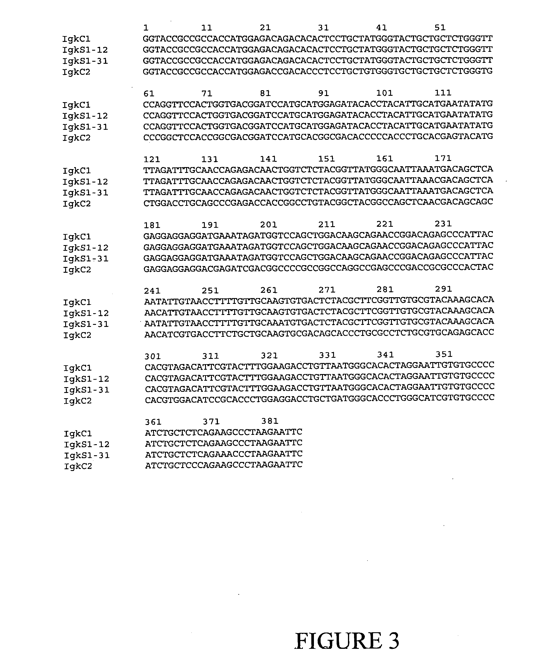 Expression system for modulating an immune response