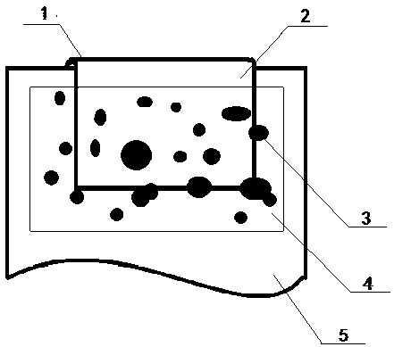 Anti-fake method and application using random spray coverage pattern and digital image contrast technology