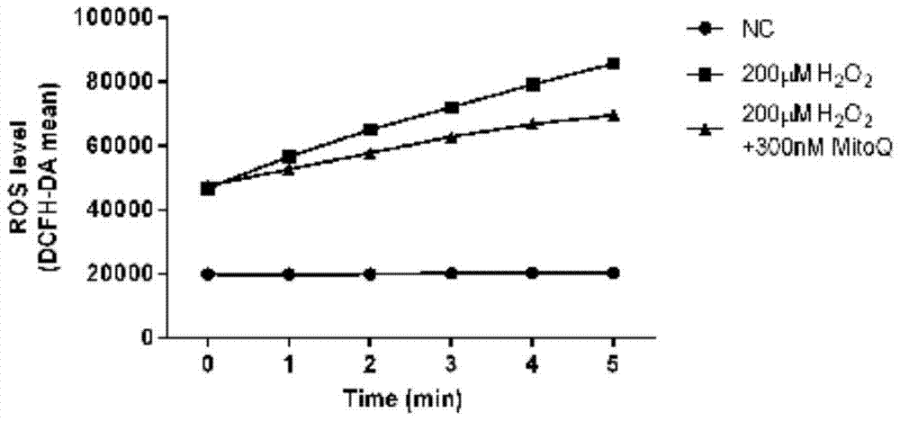 A method for evaluating oxidative stress in vivo based on detection of oxidative damage to mitochondrial DNA in peripheral blood