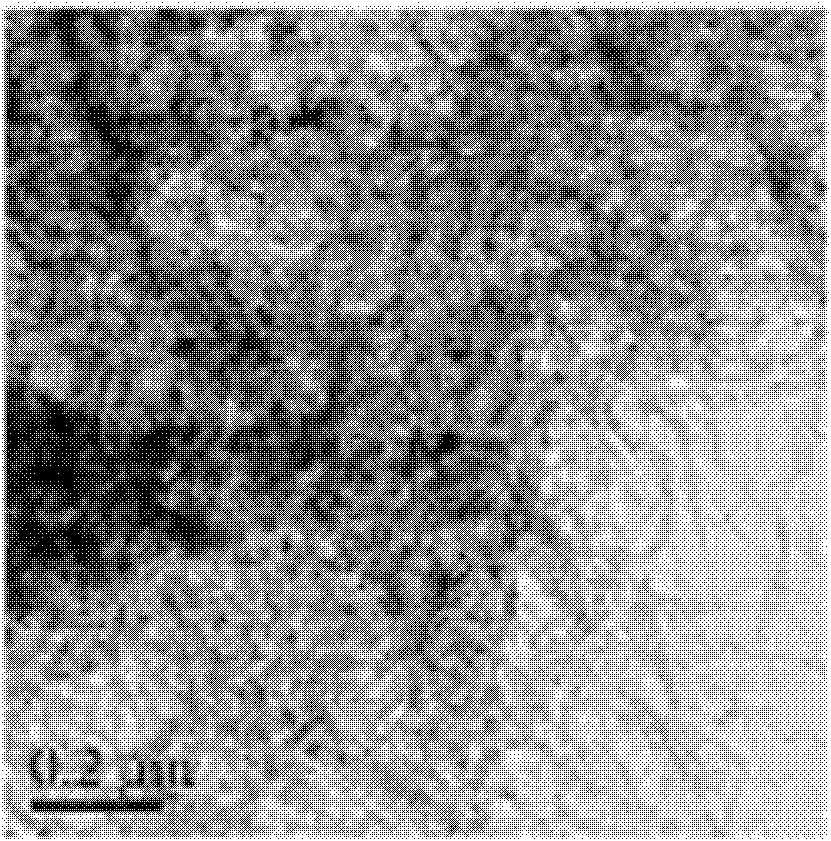 Synthesis of zinc-benzoic-acid-modified single-wall carbon nano tube porous material and use thereof in gas storage