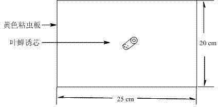 Empoasca vitis gothe attractant and application method thereof