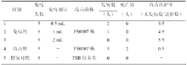 Serotype 4 haemophilus parasuis (HPs) vaccine strain