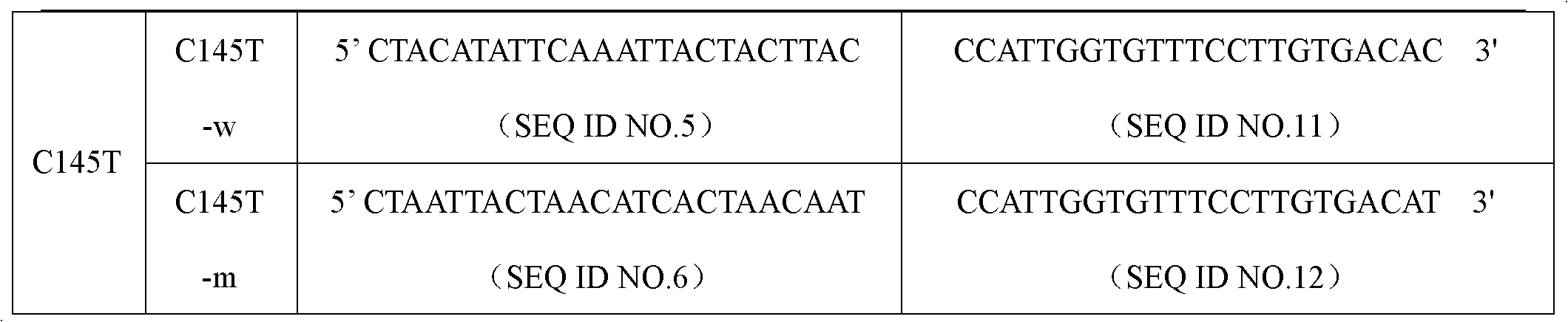 ABCG2 gene polymorphism detection specific primer and liquid phase chip