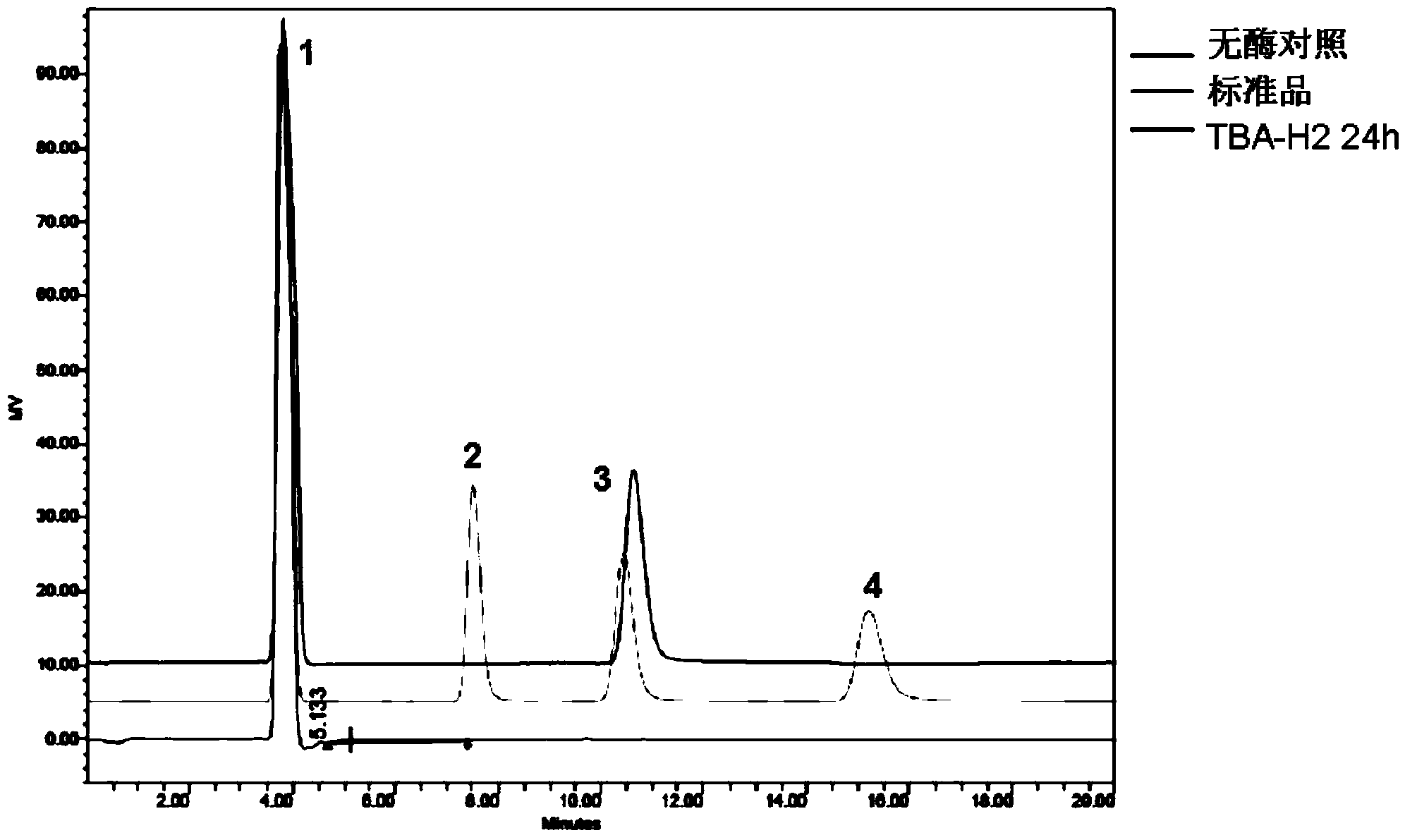 Mutant TBA-H2 of acid and high temperature resistant beta-amylase and application thereof