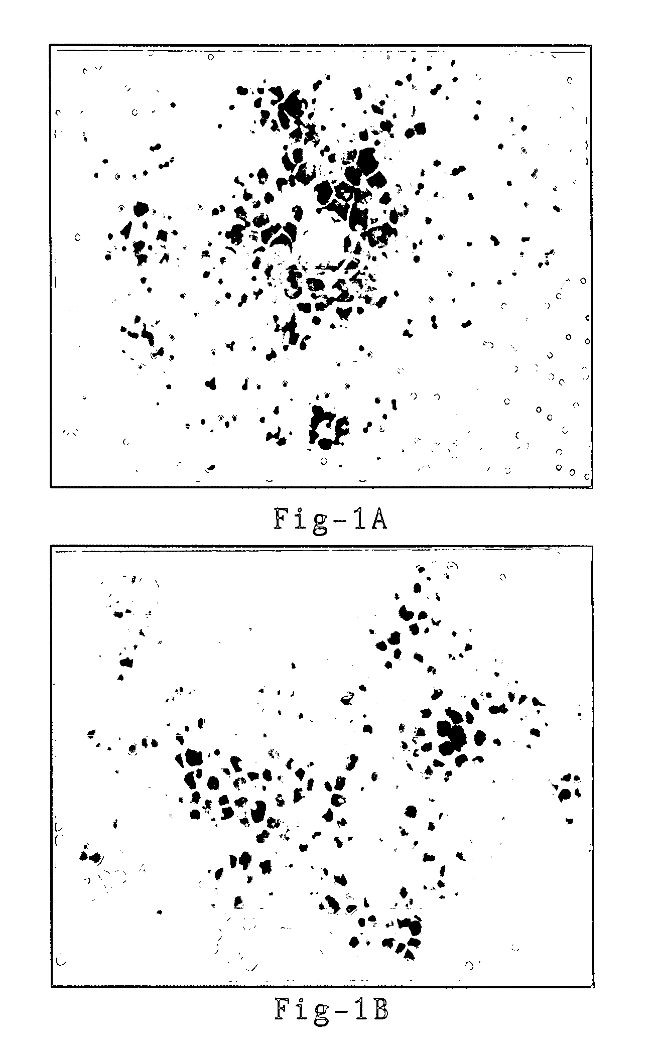 Sulfation-independent L-selectin or E-selectin ligand (HCELL) and therapeutics thereof