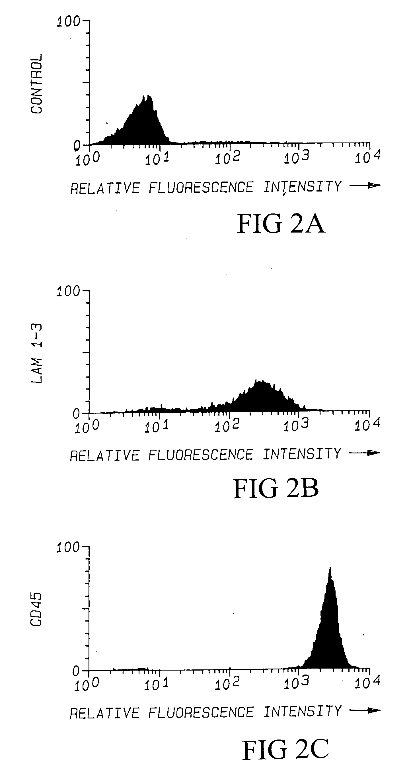 Sulfation-independent L-selectin or E-selectin ligand (HCELL) and therapeutics thereof