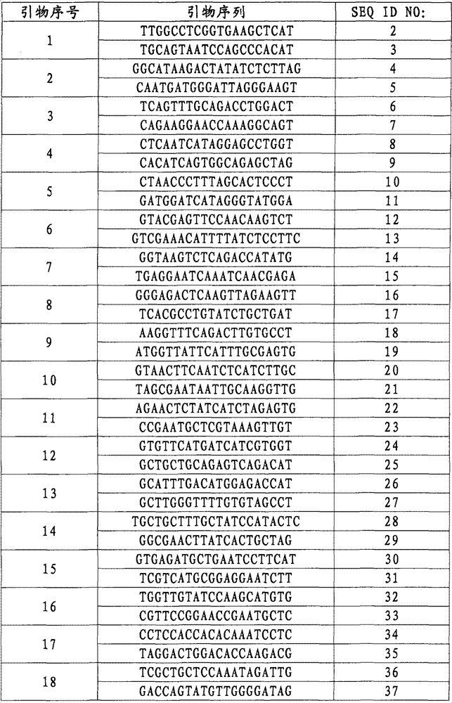 Molecular marker SIsv0204 closely linked with herbicide-resistant gene of millet