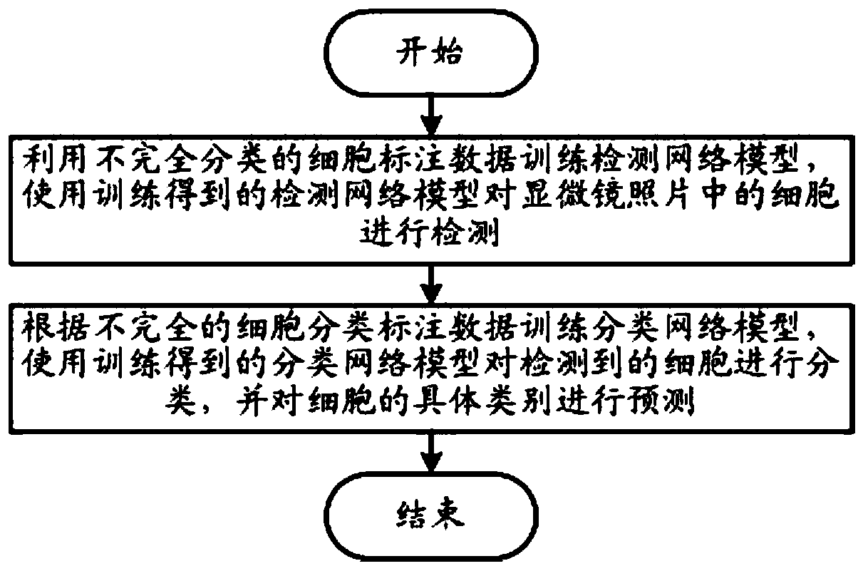 Cervical cancer pathological cell classification system of microscope pathological photograph