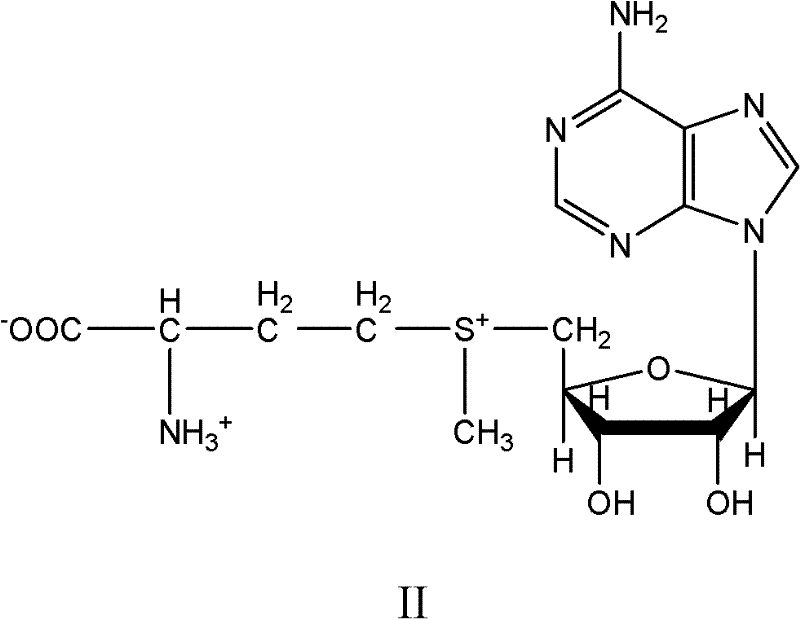 Method for synthesizing acarbose through microbial fermentation