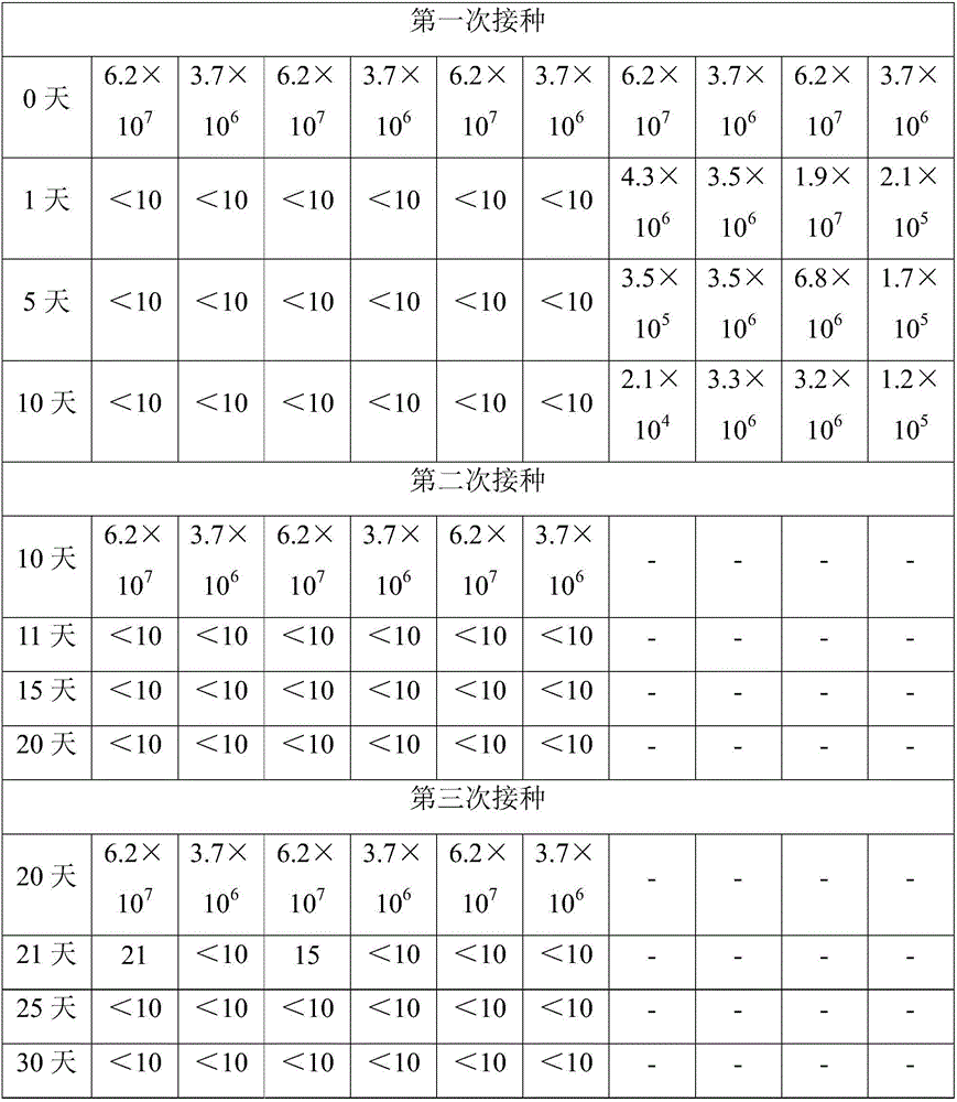 Antibacterial composition for skin and preparation method thereof