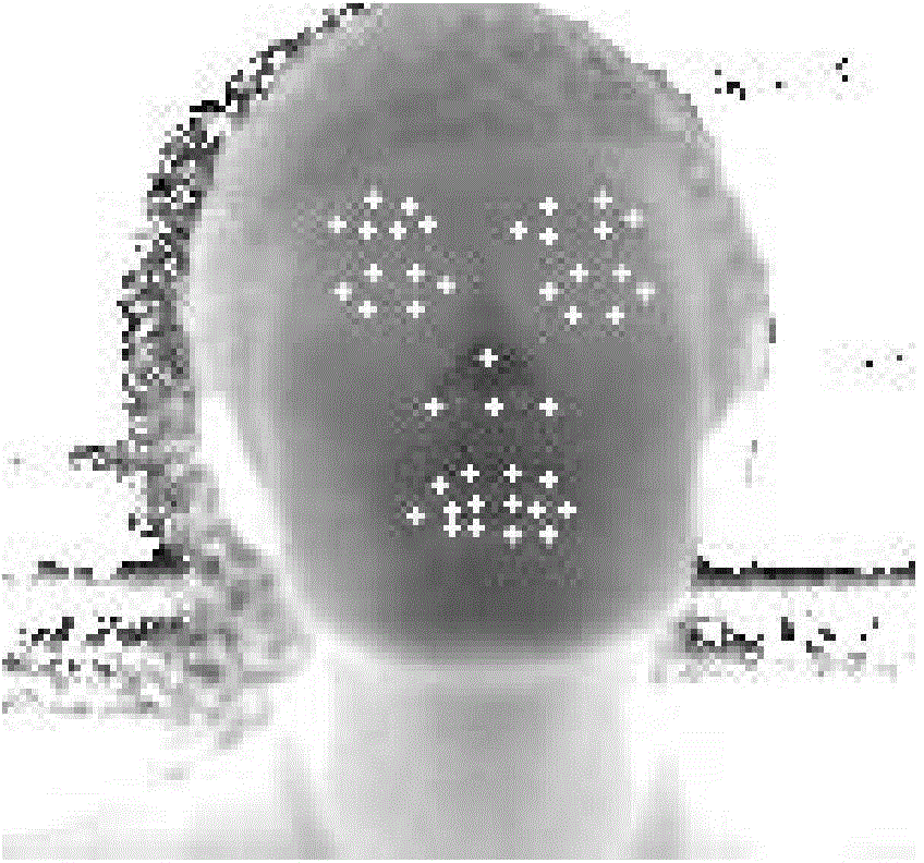 Two-dimensional face key feature point positioning method and system