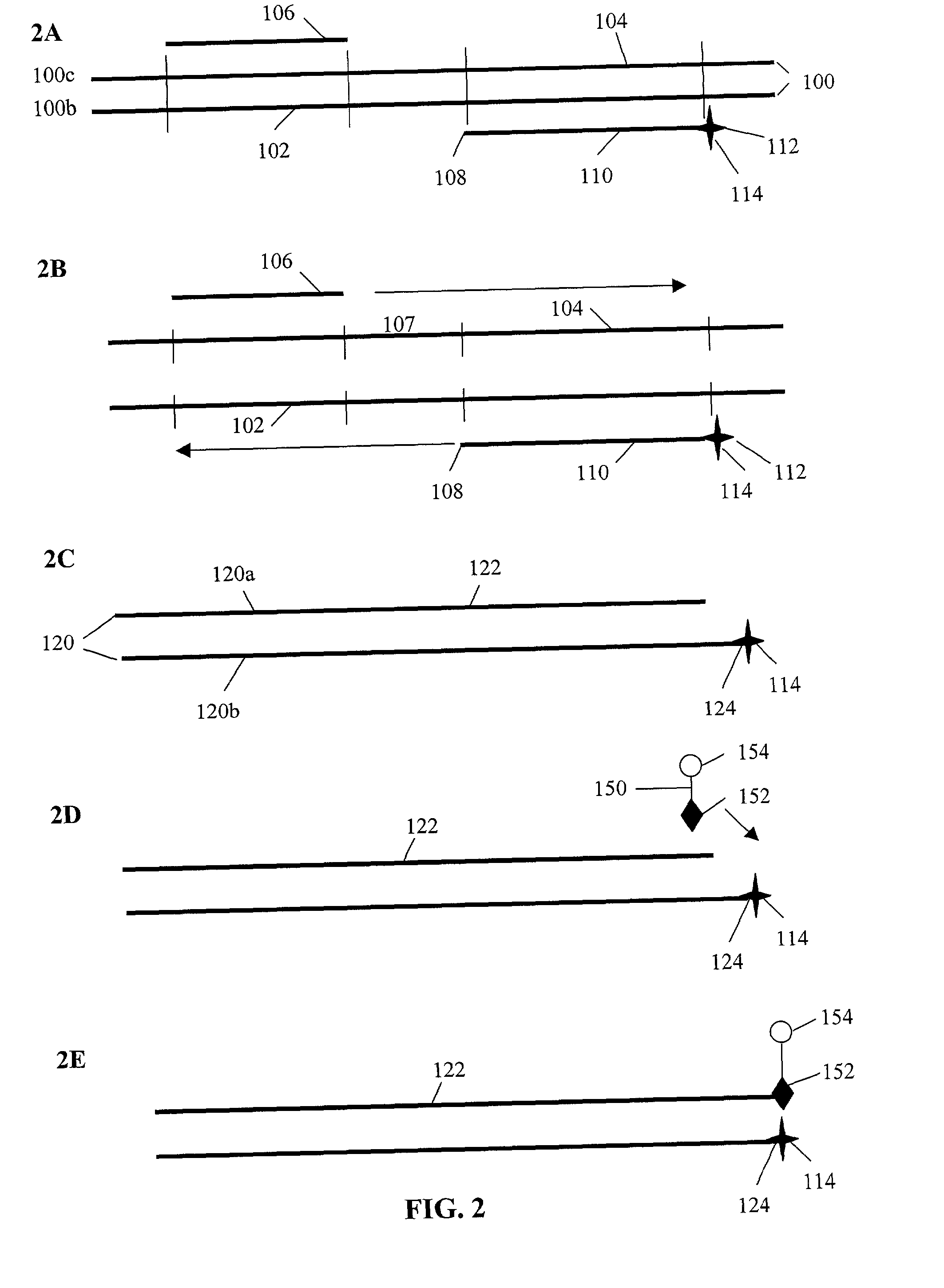 Materials and methods for detection of nucleic acids