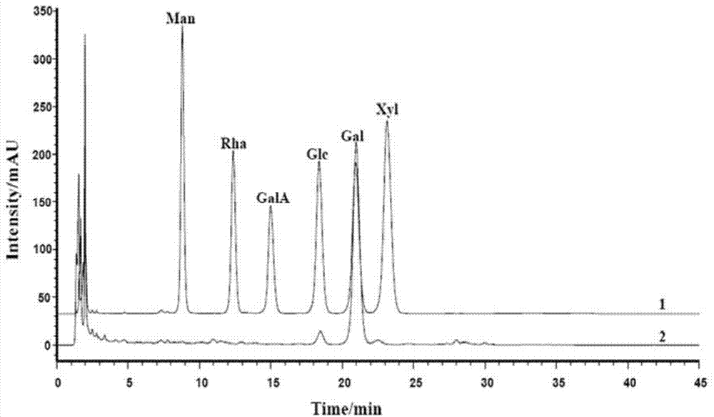 Bacteroides uniformis L8 and application thereof in degrading agar or agar oligosaccharide