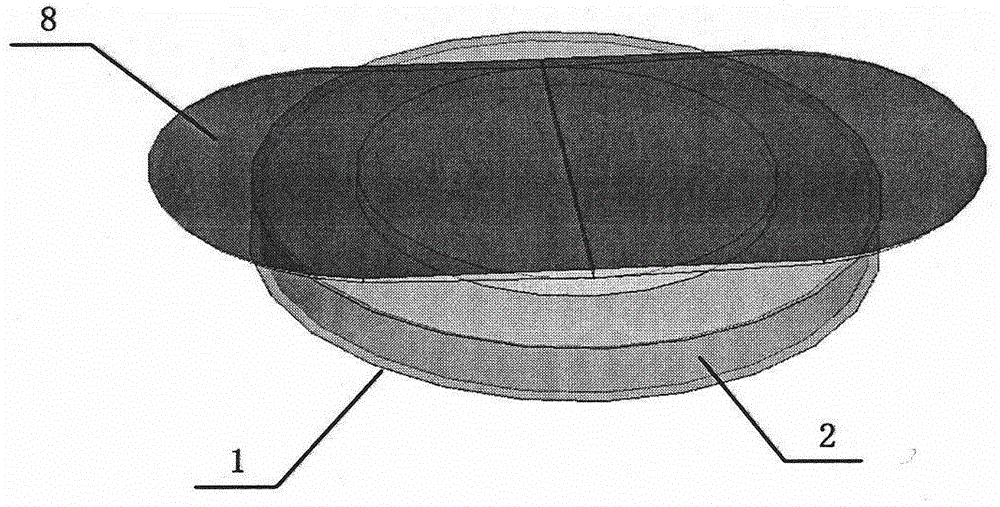 Applying and smearing device for administration of auxiliary semi-solid preparation and liquid preparation