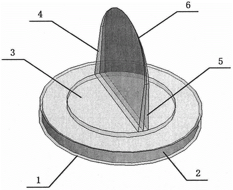 Applying and smearing device for administration of auxiliary semi-solid preparation and liquid preparation