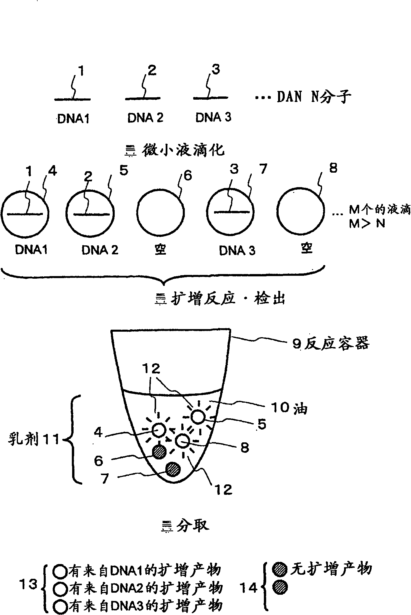 Method and apparatus for sample preparation