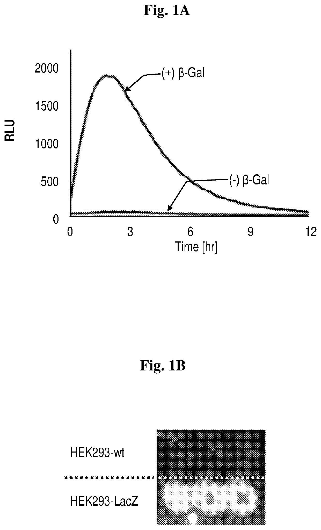 Near-infrared chemiluminescent probes for in-vivo imaging