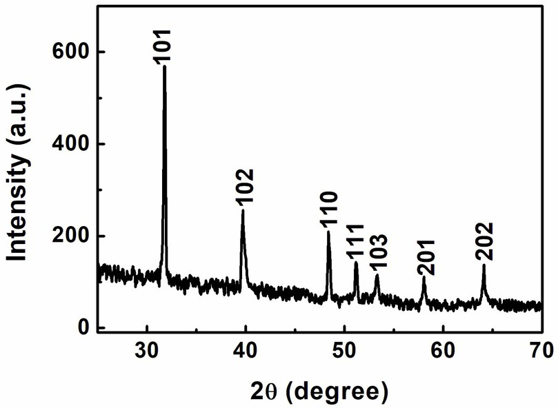 A kind of method for preparing tin diselenide nanowire at low temperature