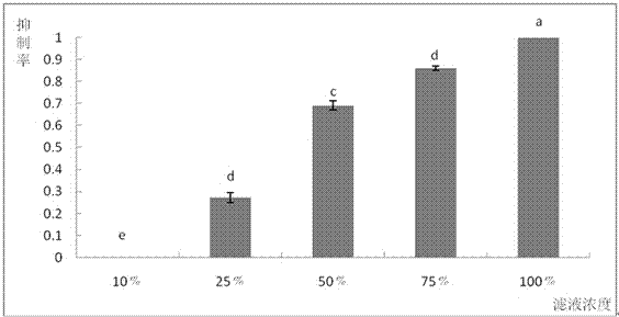 A Pseudomonas maltophilia strain qba-5 with inhibitory effect on Botrytis cinerea and its application