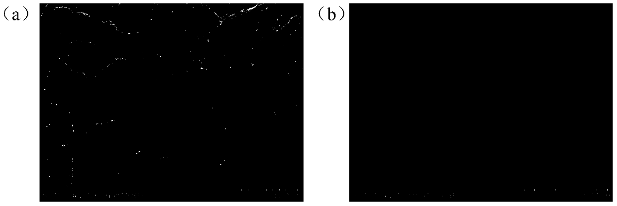 Preparation method and product of nitrogen-doped carbon nano-tube