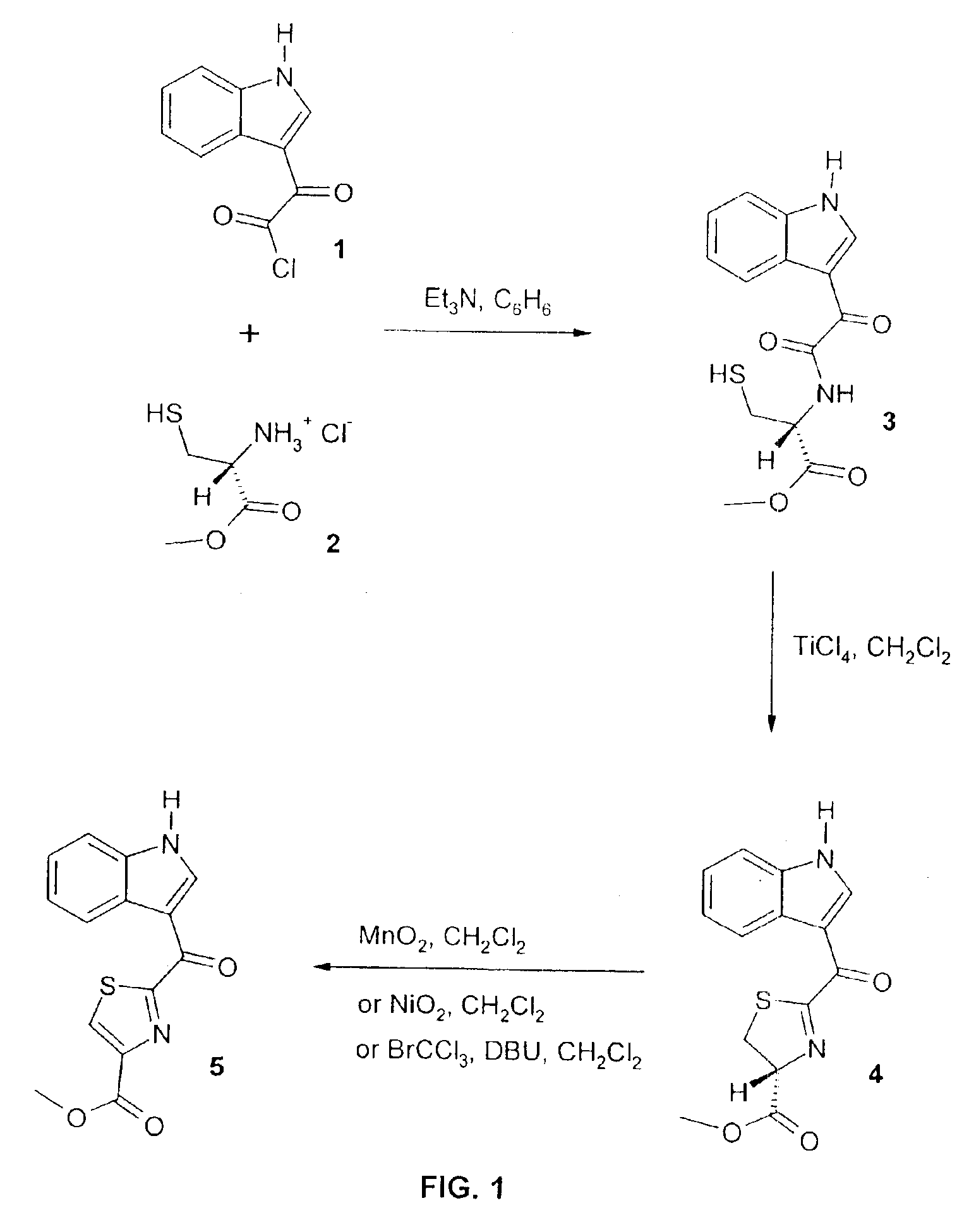 Synthesis of indole thiazole compounds as ligands for the Ah receptor